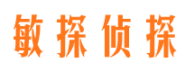 永定市私家侦探